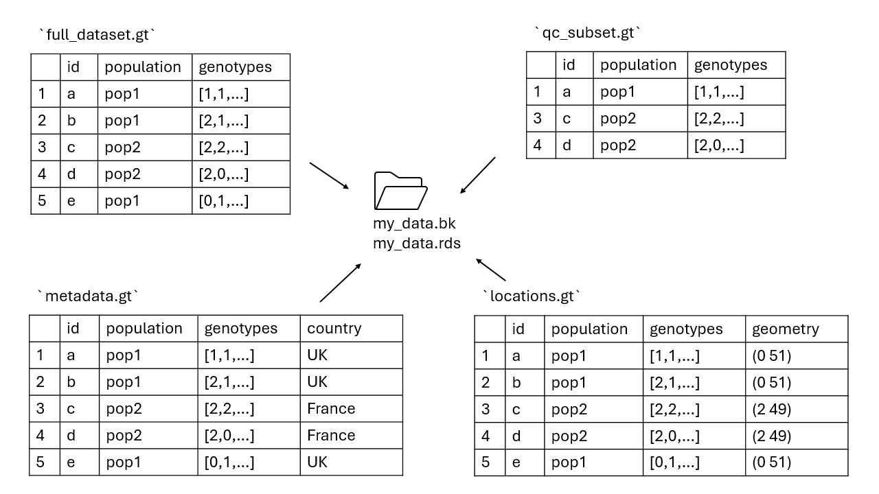 Figure 2: Visual representation of saving multiple gen_tibble objects to the same backingfile set