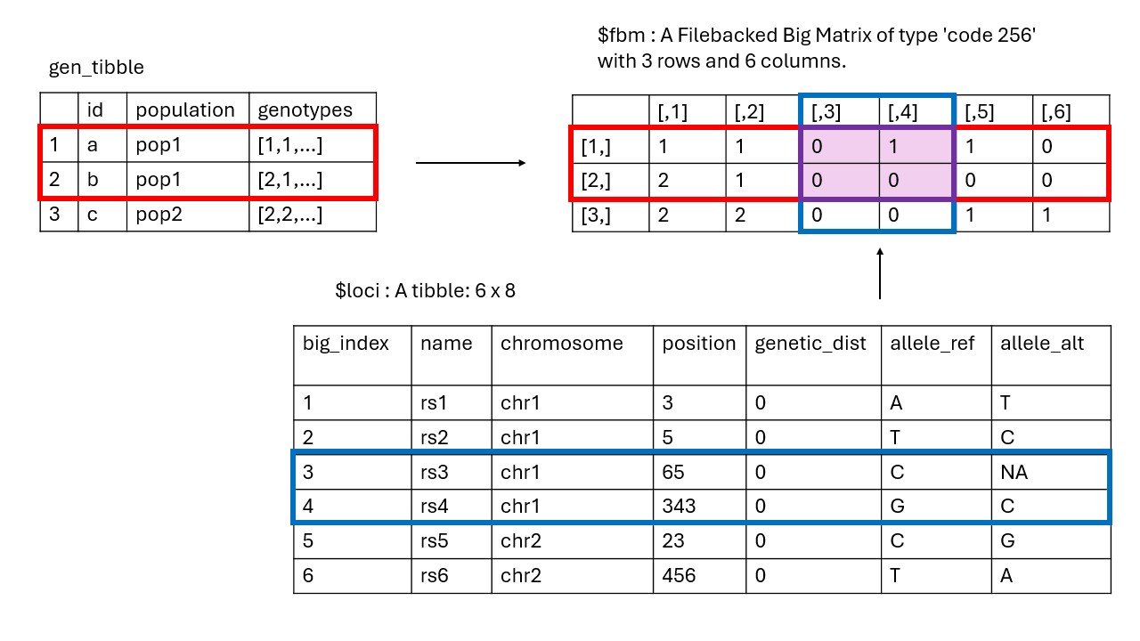 Figure 1: Visual representation of subsetting a gen_tibble object