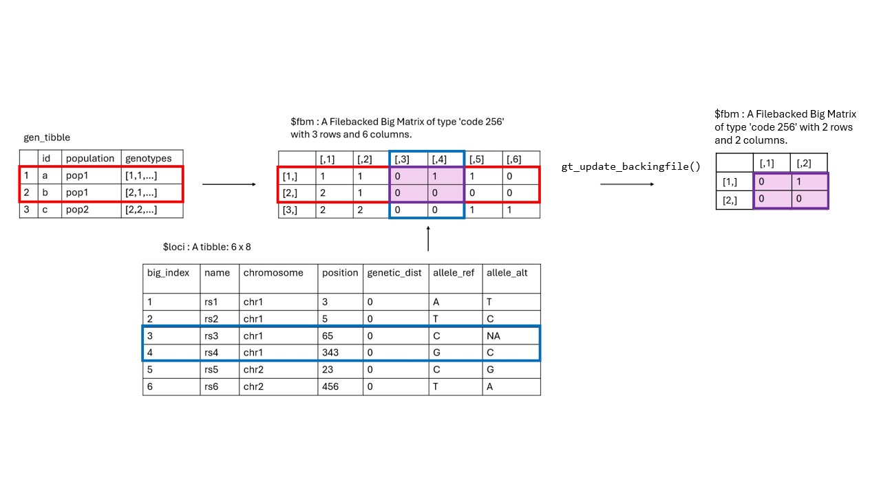 Figure 3: Visual representation of updating backingfiles for a gen_tibble object