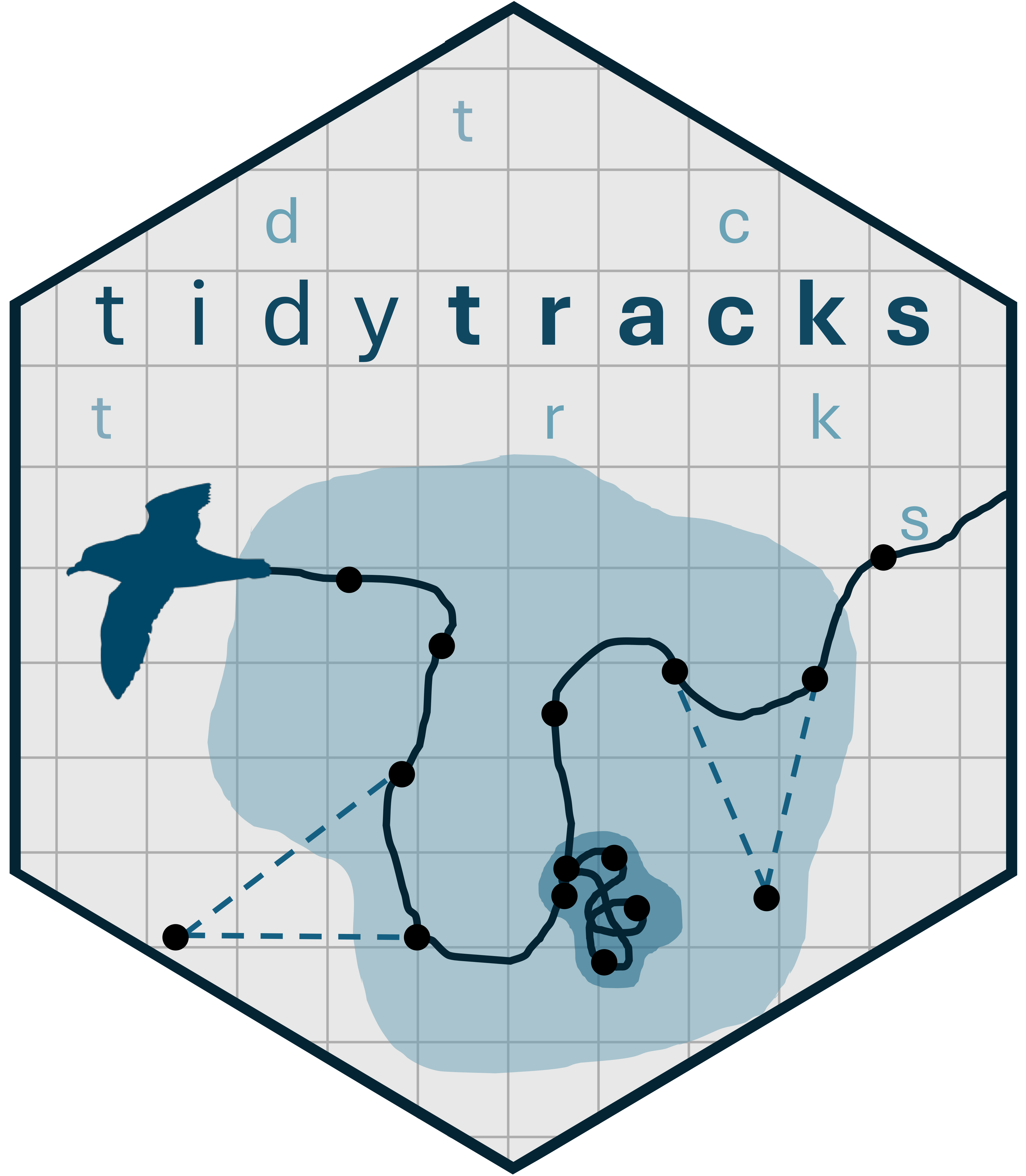 tidytracks_logo